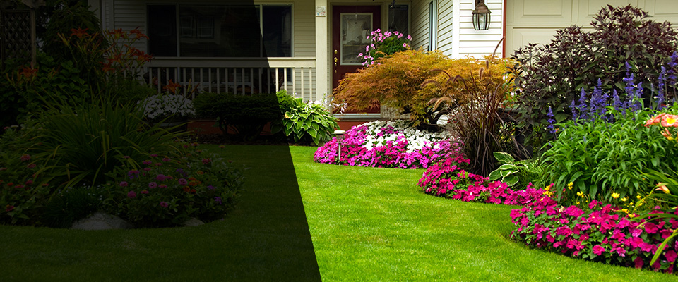 Cortlandt Manor Landscapers
