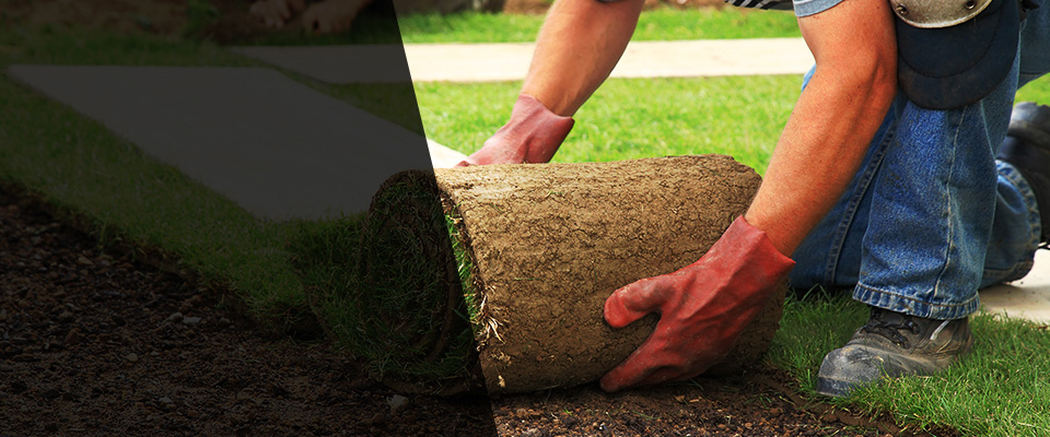 Cortlandt Manor Landscapers